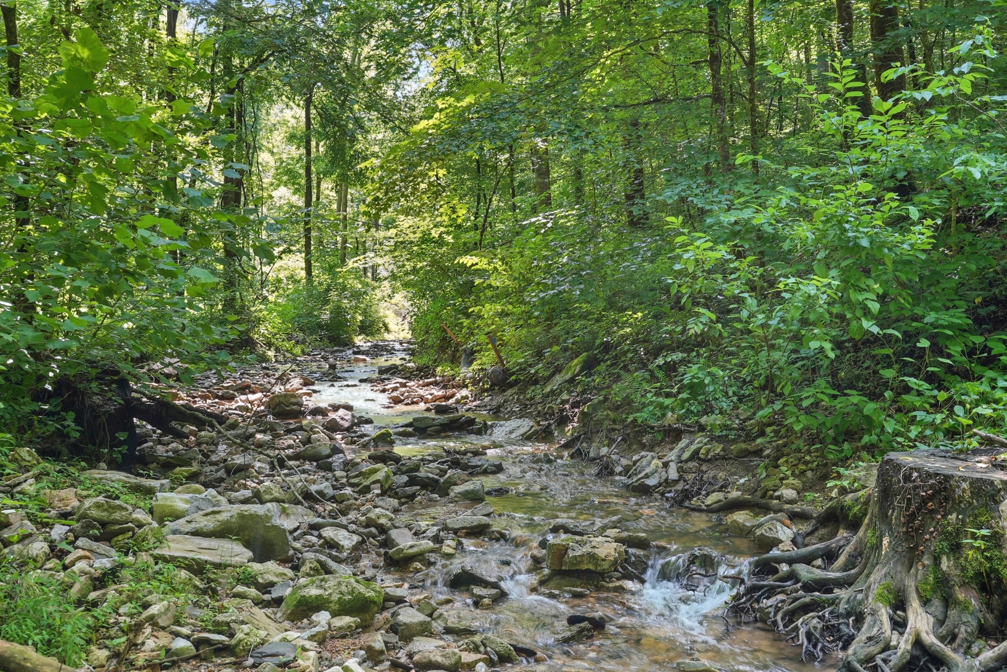 4006 Stones River Road Woodbury TN 37190