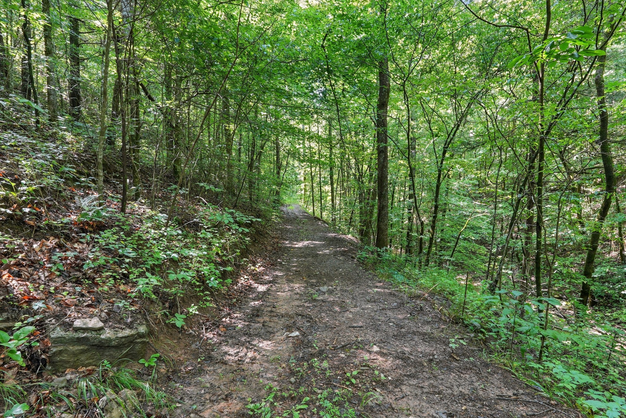 4006 Stones River Road Woodbury TN 37190