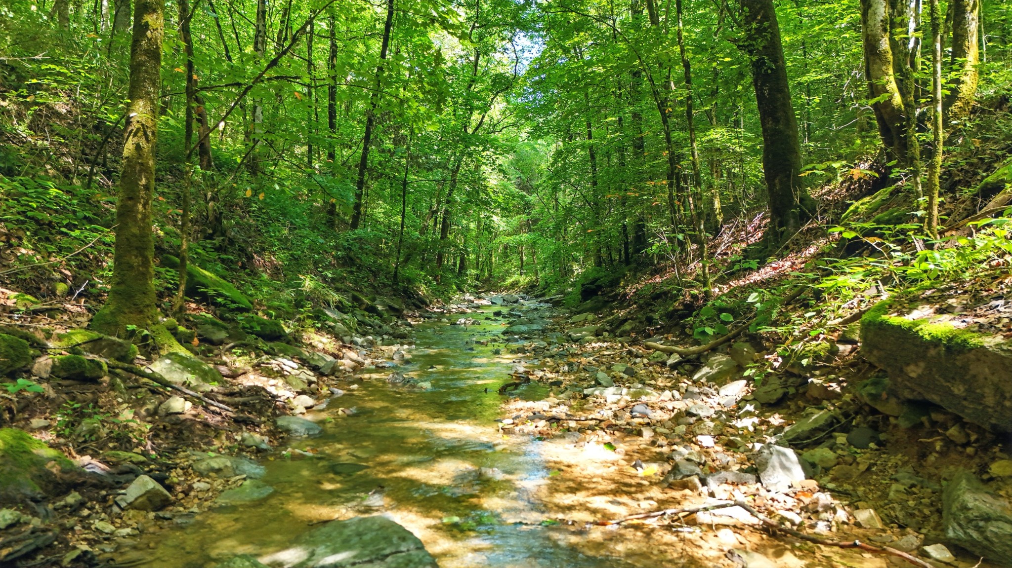 4006 Stones River Road Woodbury TN 37190