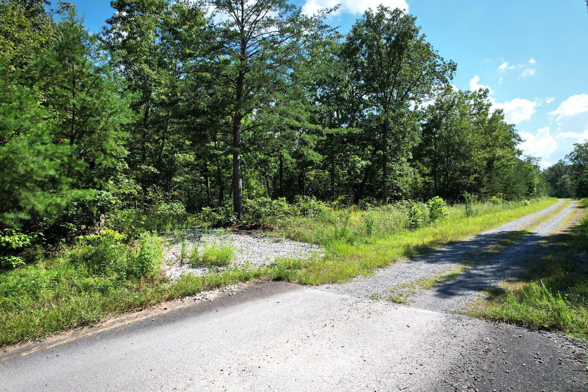 0 Big Bluff View Road Pikeville TN 37367