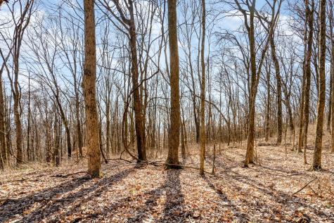 1009 Scramblers Knob Franklin TN 37069