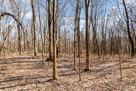 1009 Scramblers Knob Franklin TN 37069