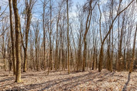 1009 Scramblers Knob Franklin TN 37069