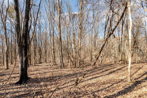 1009 Scramblers Knob Franklin TN 37069