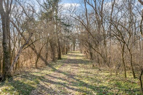 1009 Scramblers Knob Franklin TN 37069
