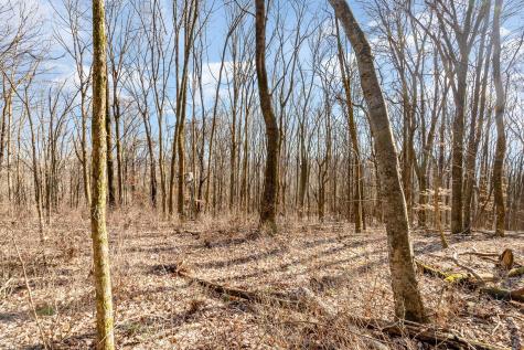 1009 Scramblers Knob Franklin TN 37069