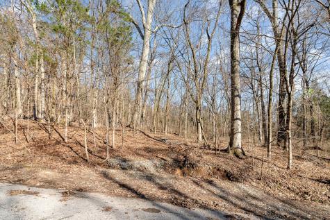 1009 Scramblers Knob Franklin TN 37069