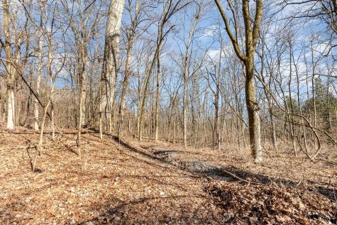 1009 Scramblers Knob Franklin TN 37069