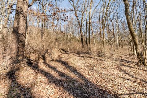 1009 Scramblers Knob Franklin TN 37069