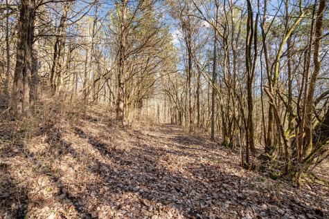 1009 Scramblers Knob Franklin TN 37069