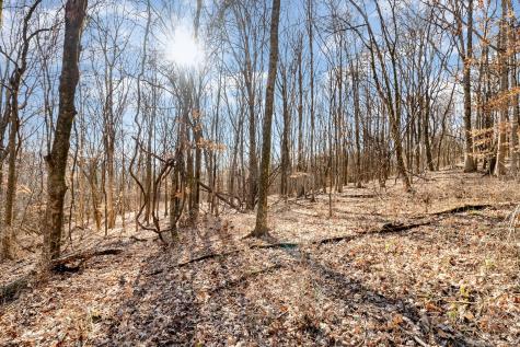 1009 Scramblers Knob Franklin TN 37069