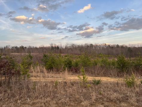 1040 Main Street Altamont TN 37301