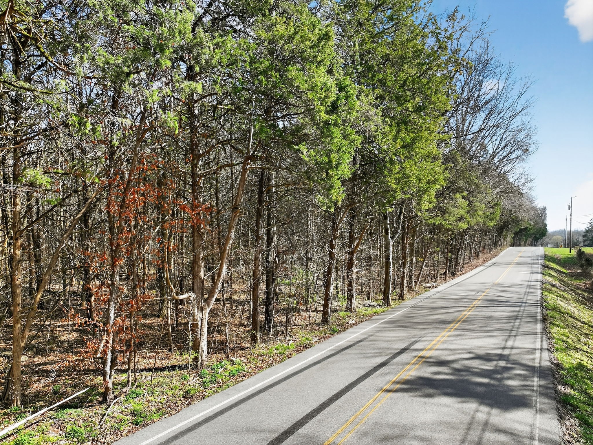 0 Spantown Road Arrington TN 37014