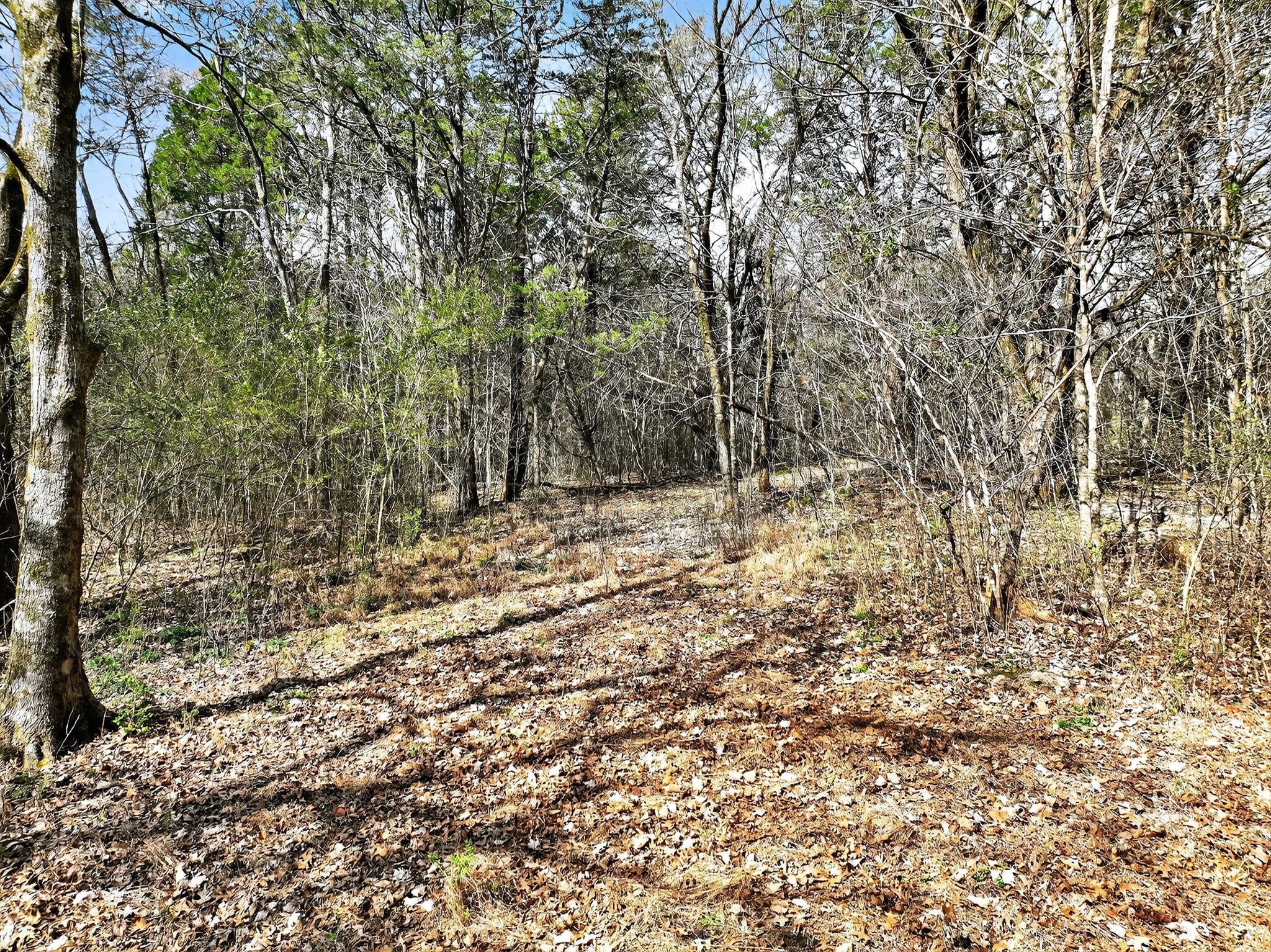 0 Spantown Road Arrington TN 37014