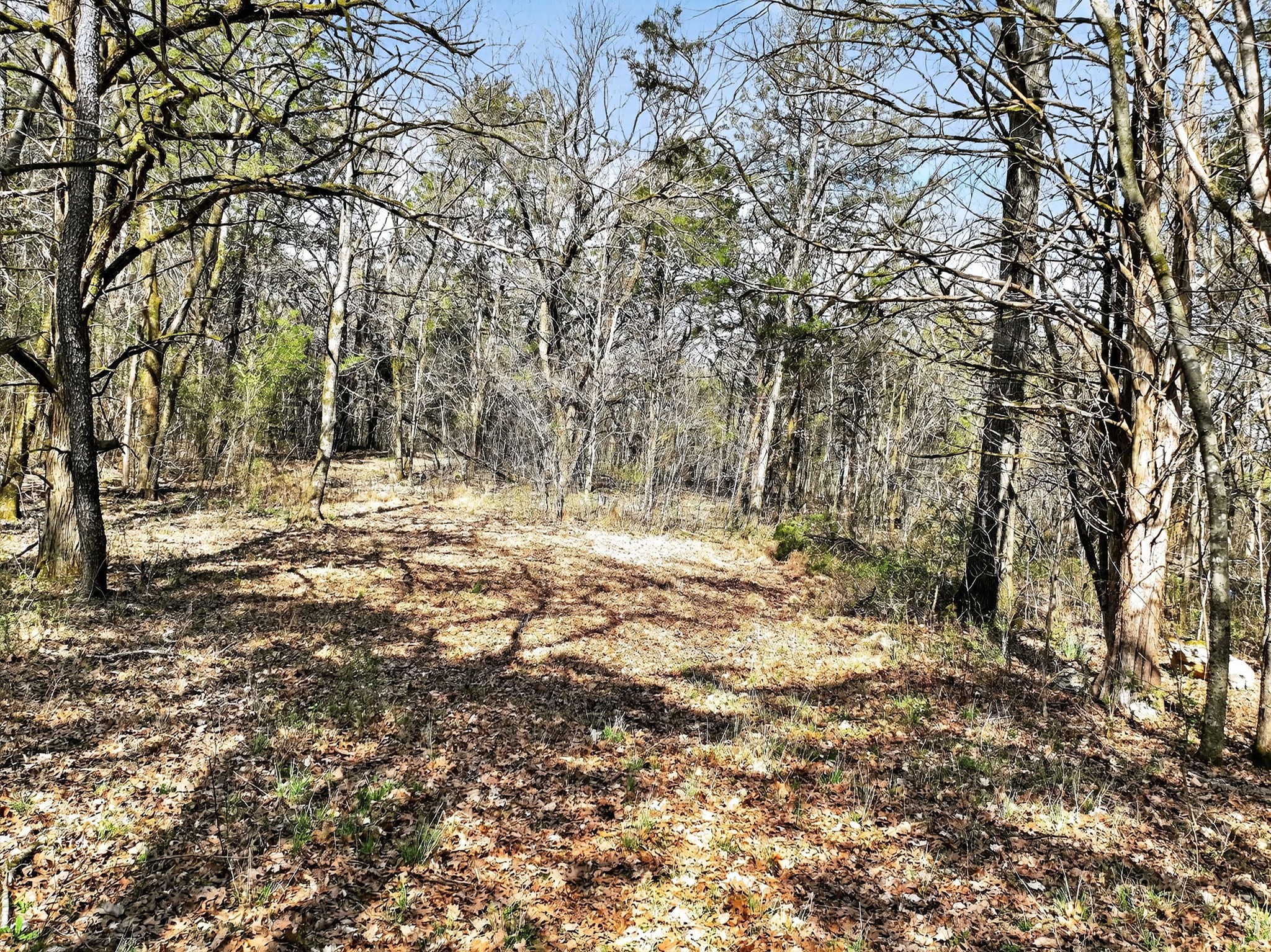 0 Spantown Road Arrington TN 37014