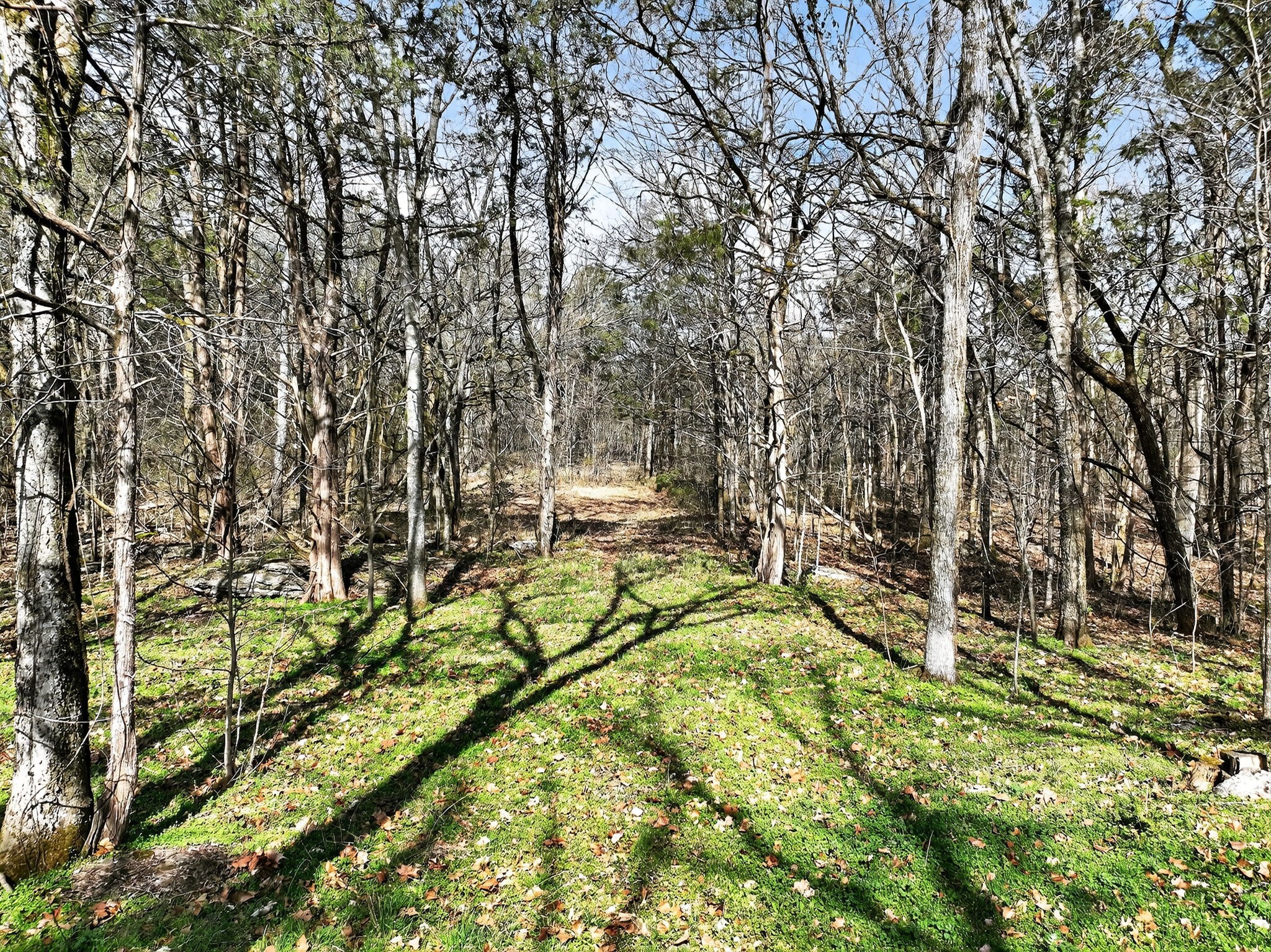 0 Spantown Road Arrington TN 37014