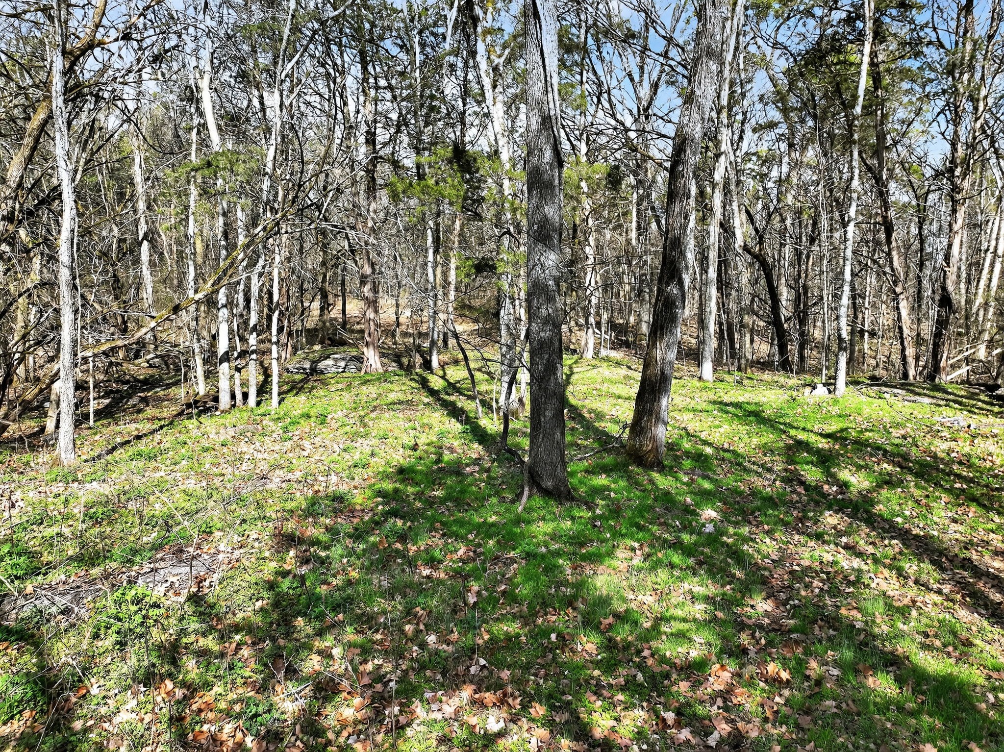 0 Spantown Road Arrington TN 37014