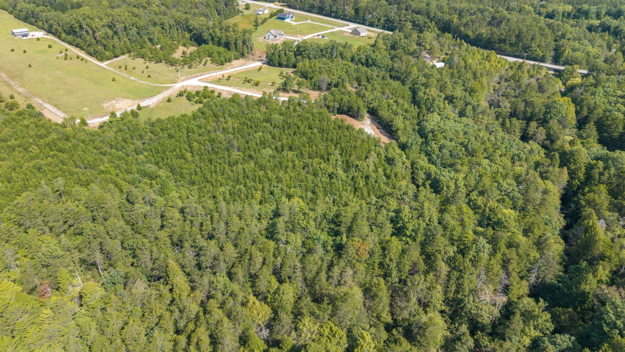 54 Creekview Lane Altamont TN 37301
