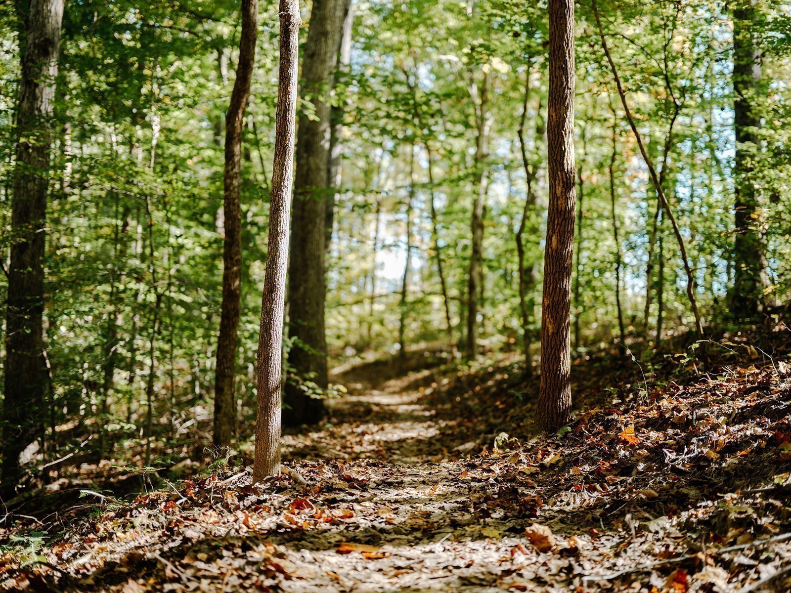 0 Pinewood Road Franklin TN 37064