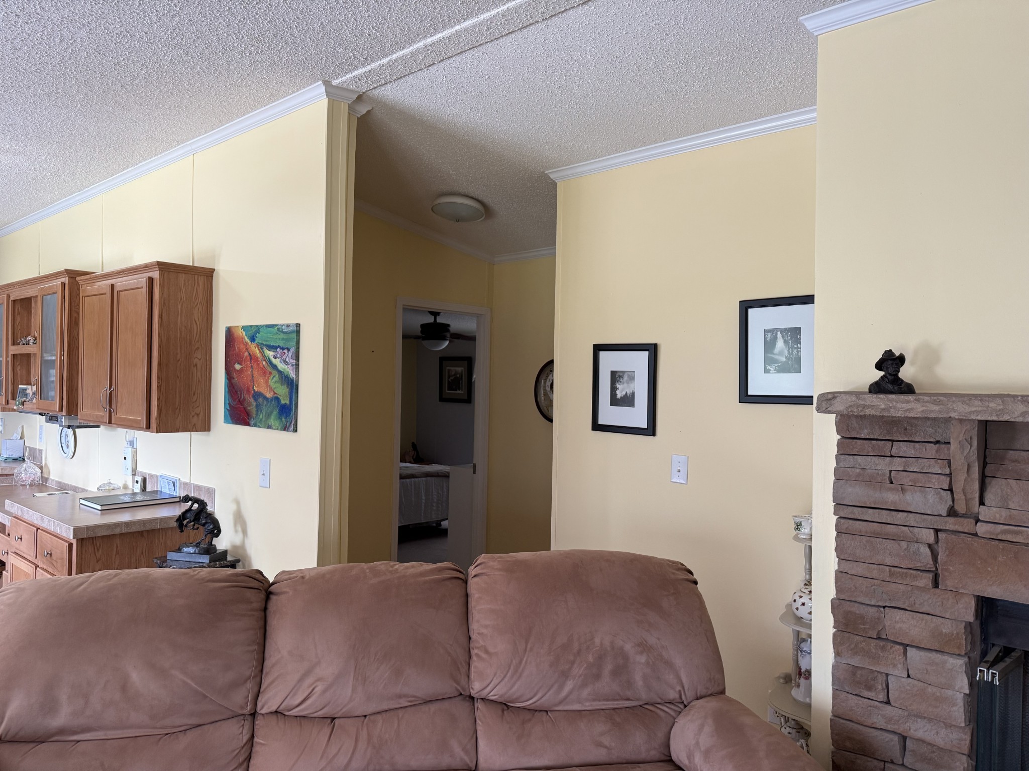 371 Lumina Lane Dunlap TN 37327