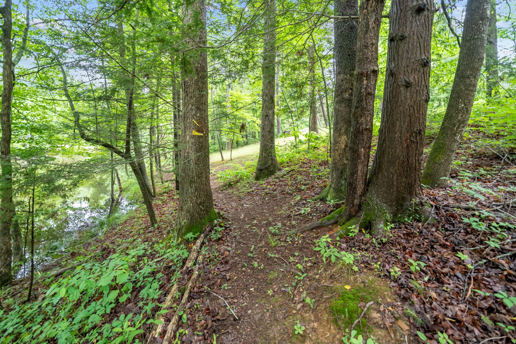 0 Siever Road Crossville TN 38572