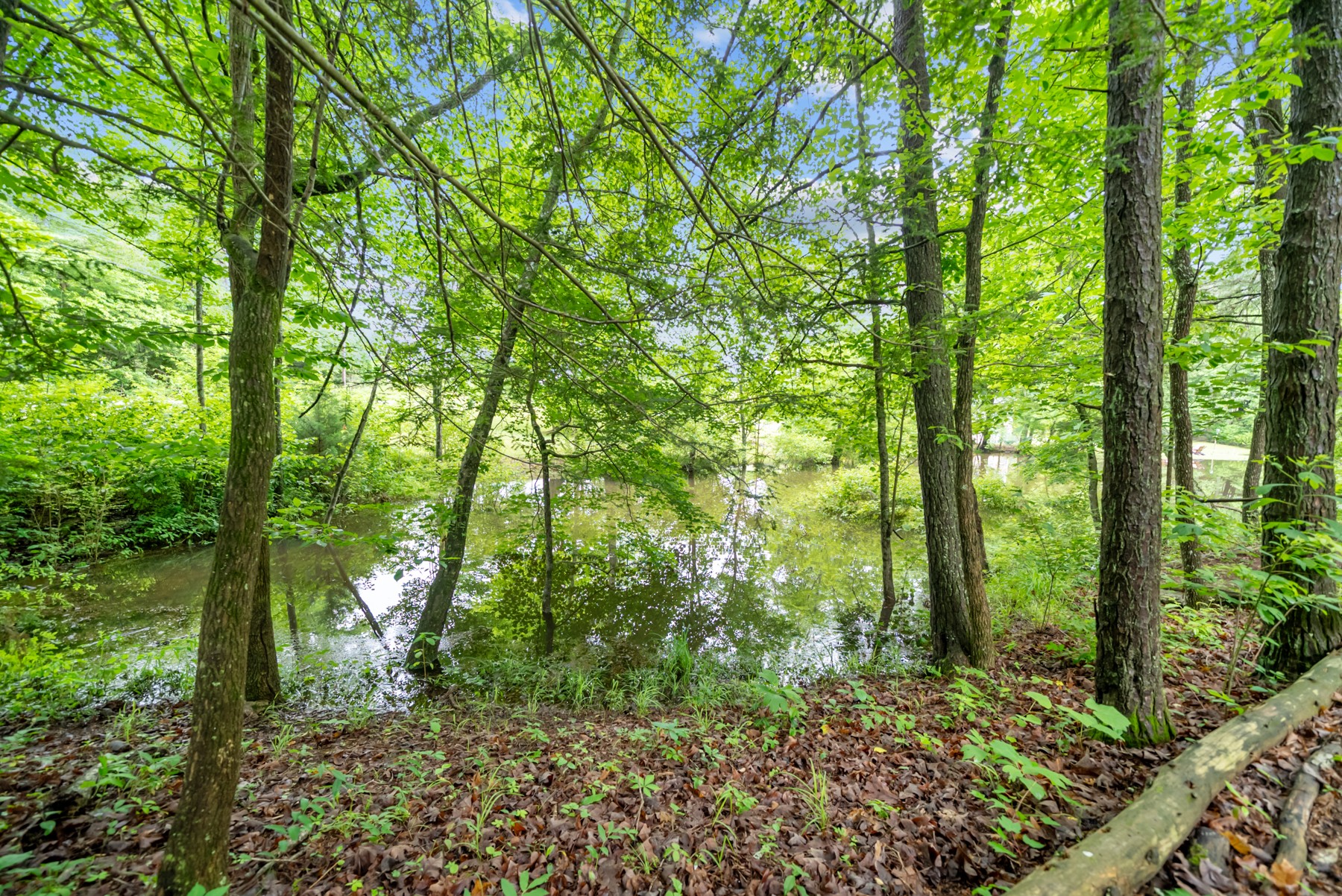 0 Siever Road Crossville TN 38572