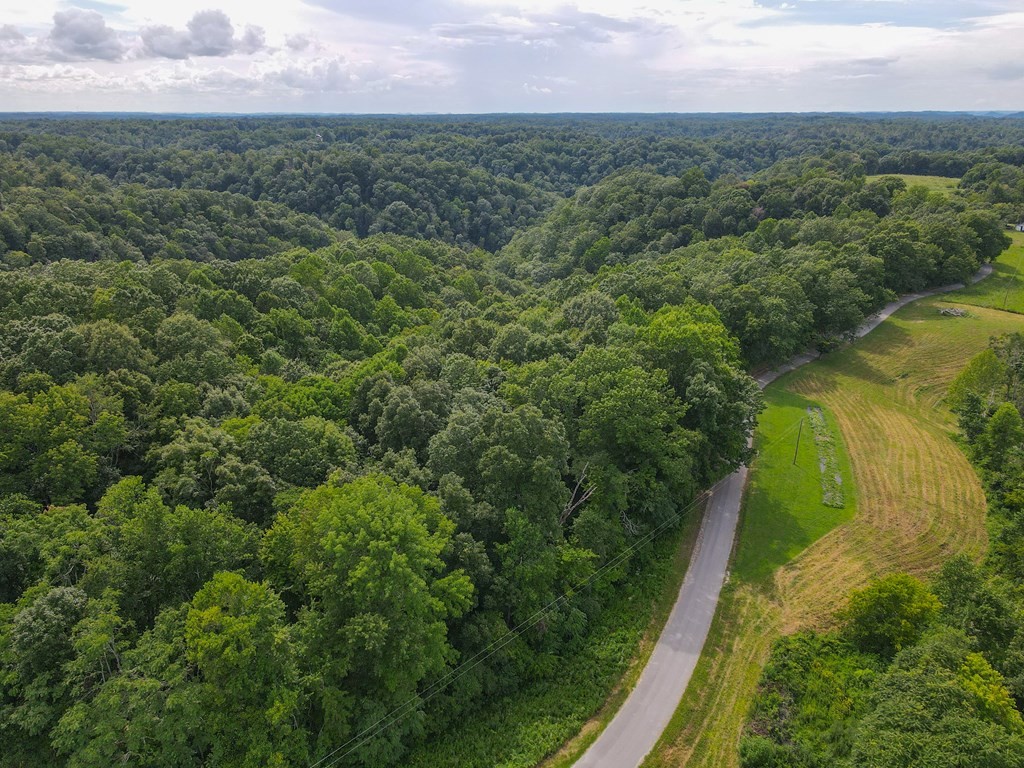 0 Brown Ridge Road Baxter TN 38544