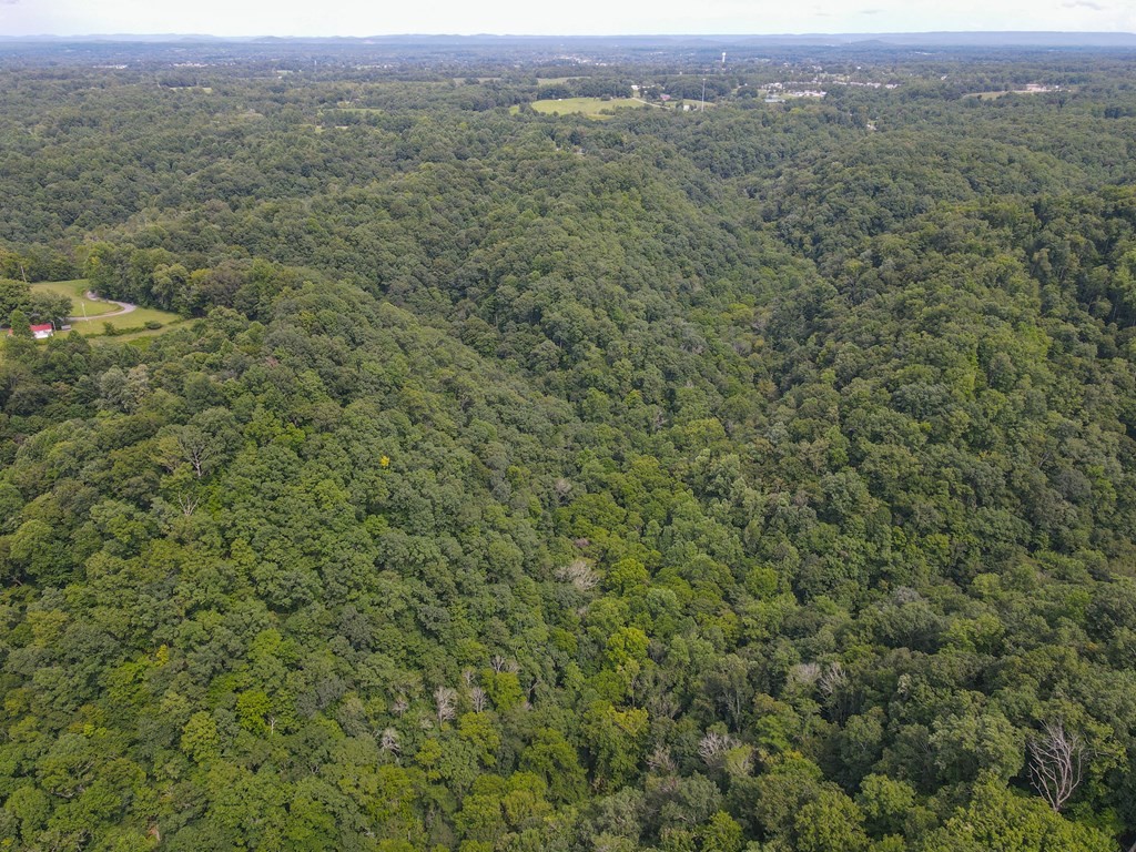 0 Brown Ridge Road Baxter TN 38544