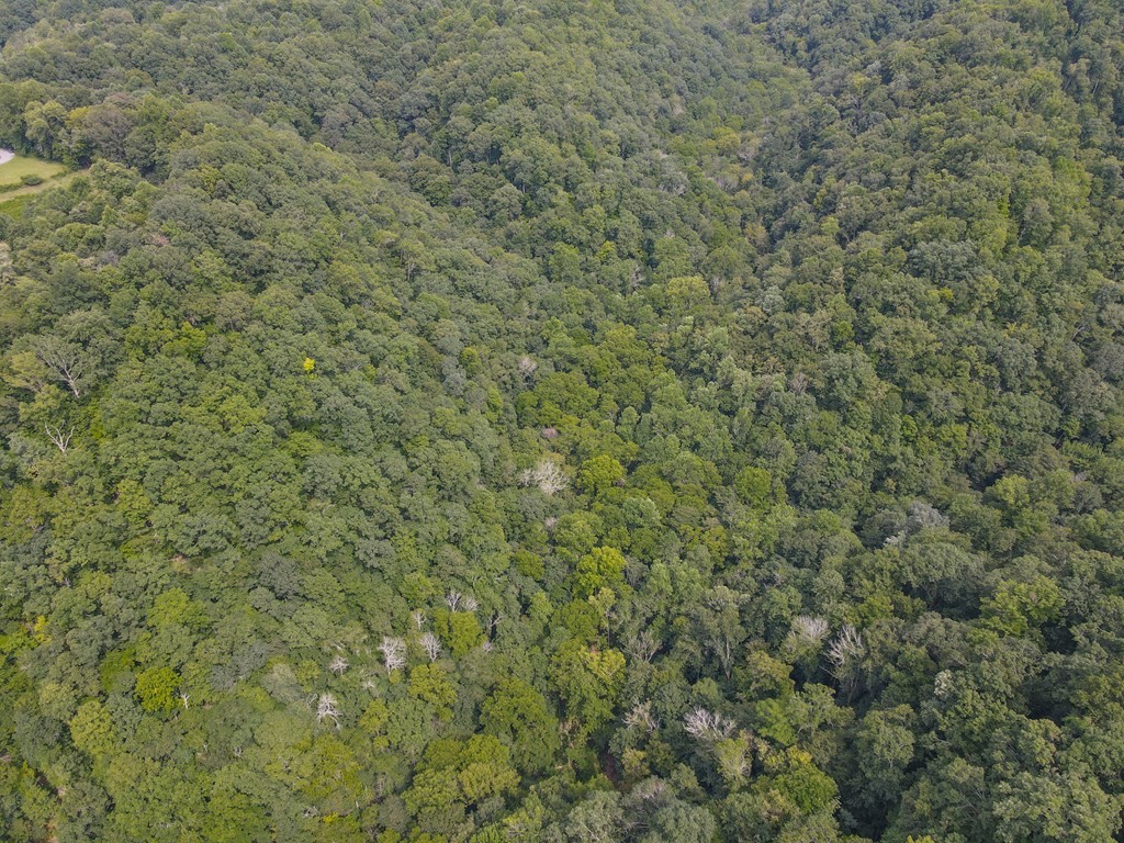 0 Brown Ridge Road Baxter TN 38544