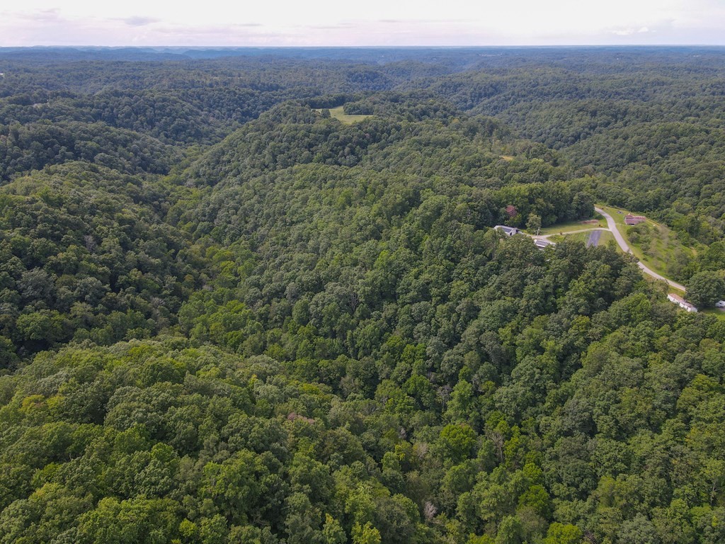 0 Brown Ridge Road Baxter TN 38544