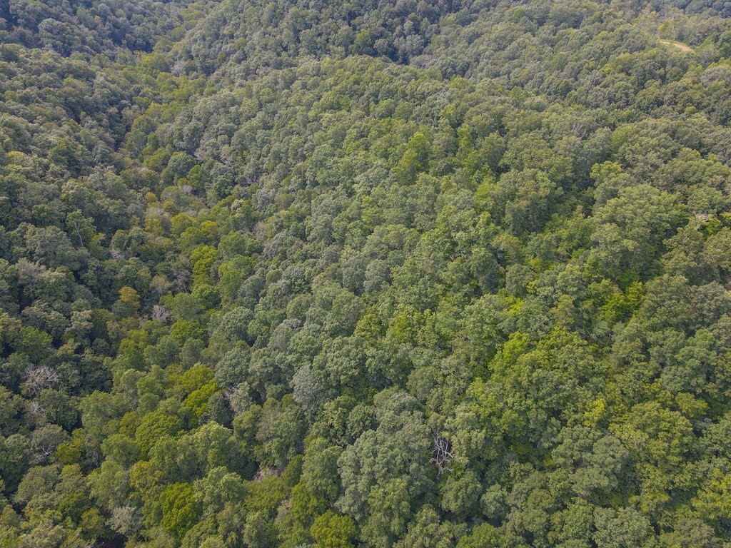 0 Brown Ridge Road Baxter TN 38544