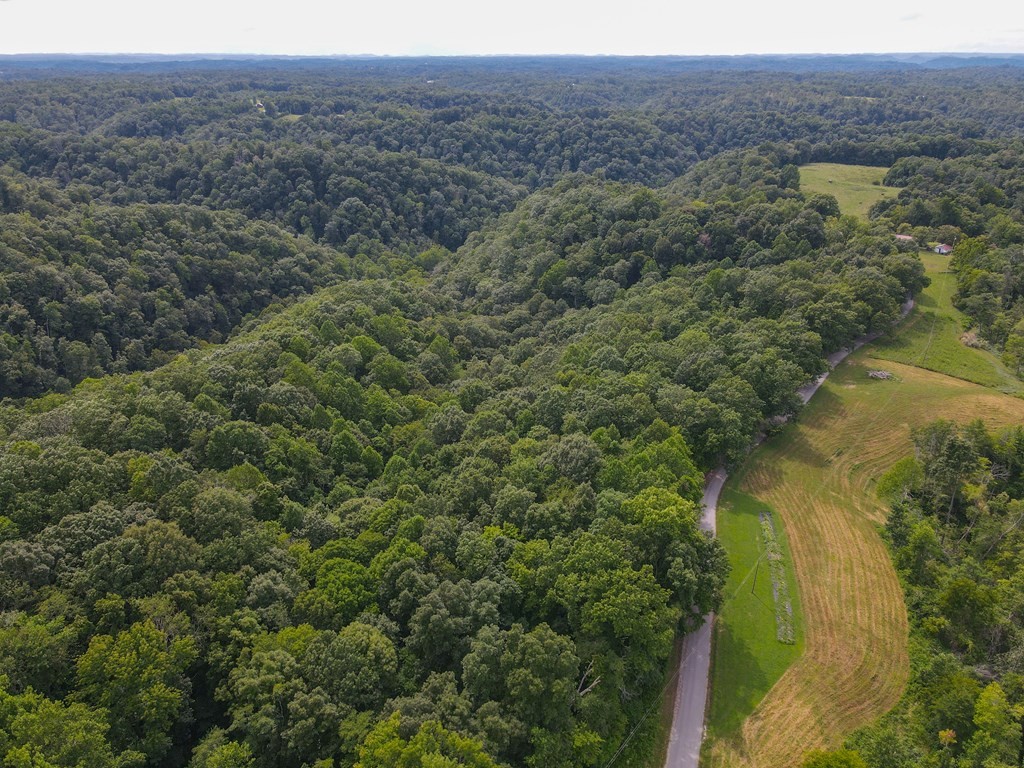 0 Brown Ridge Road Baxter TN 38544