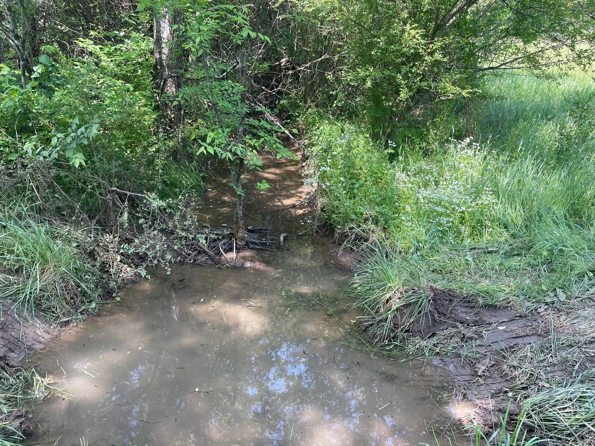 0 Maynard Lane Columbia TN 38401