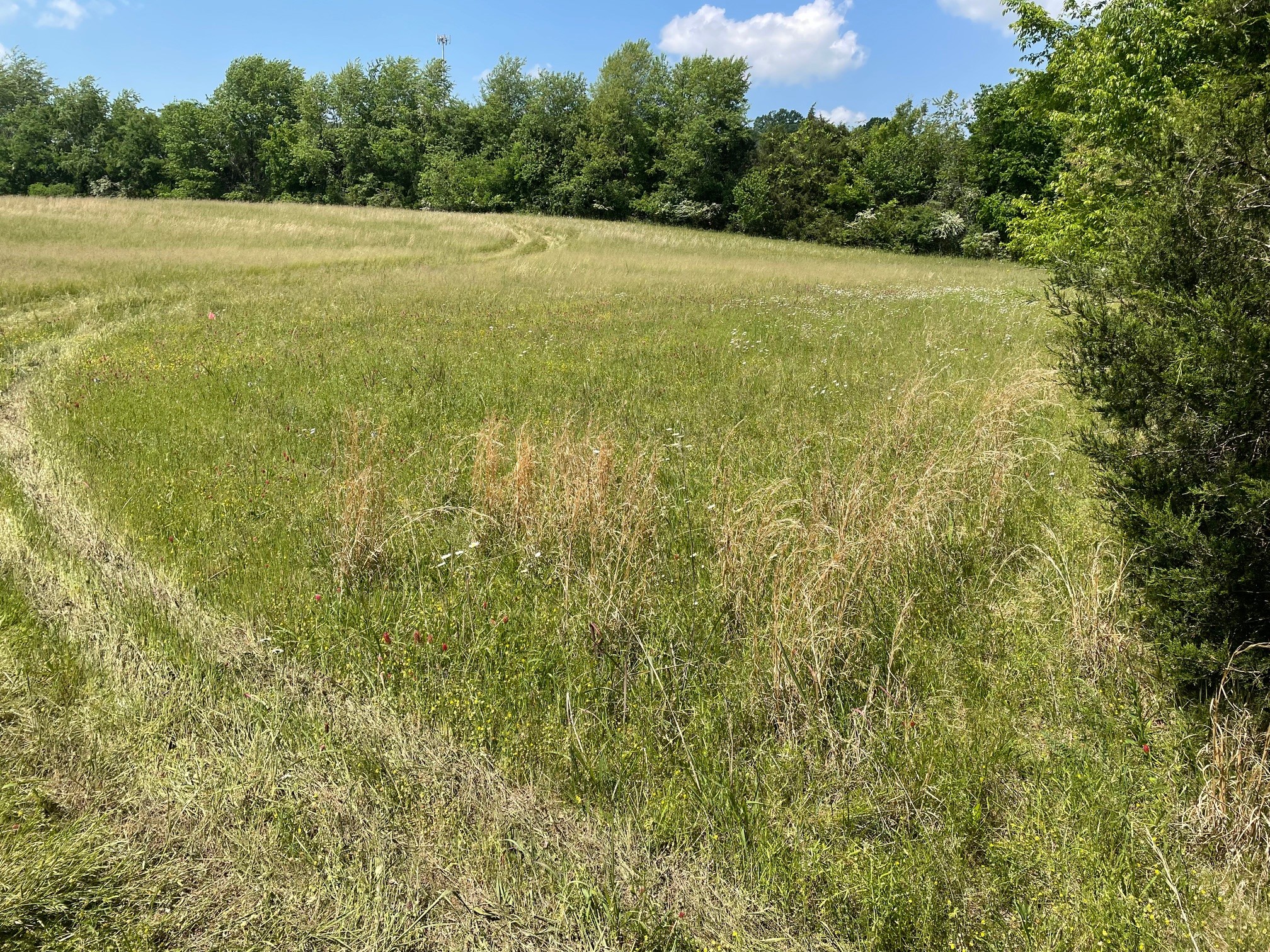 0 Maynard Lane Columbia TN 38401
