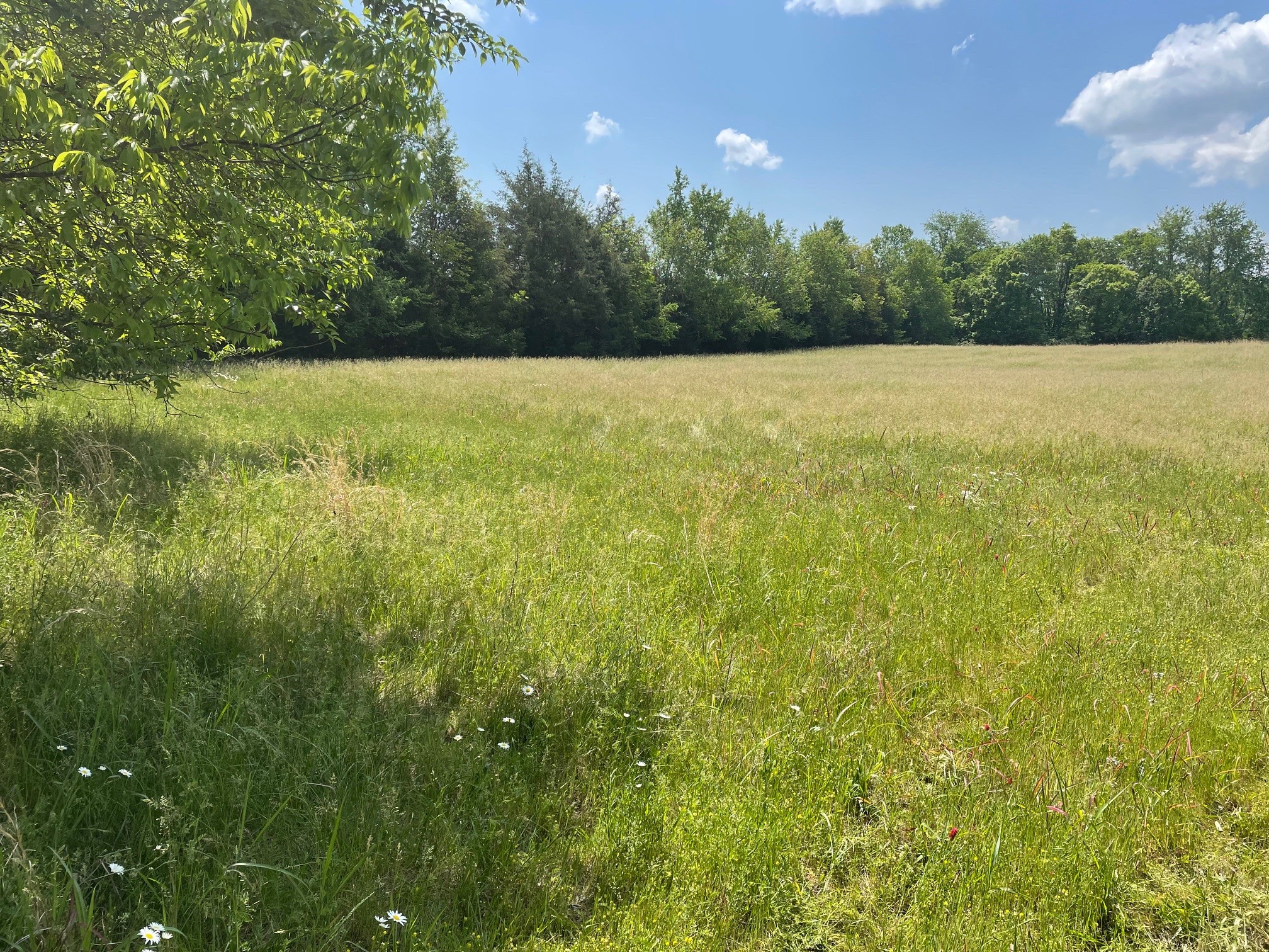 0 Maynard Lane Columbia TN 38401