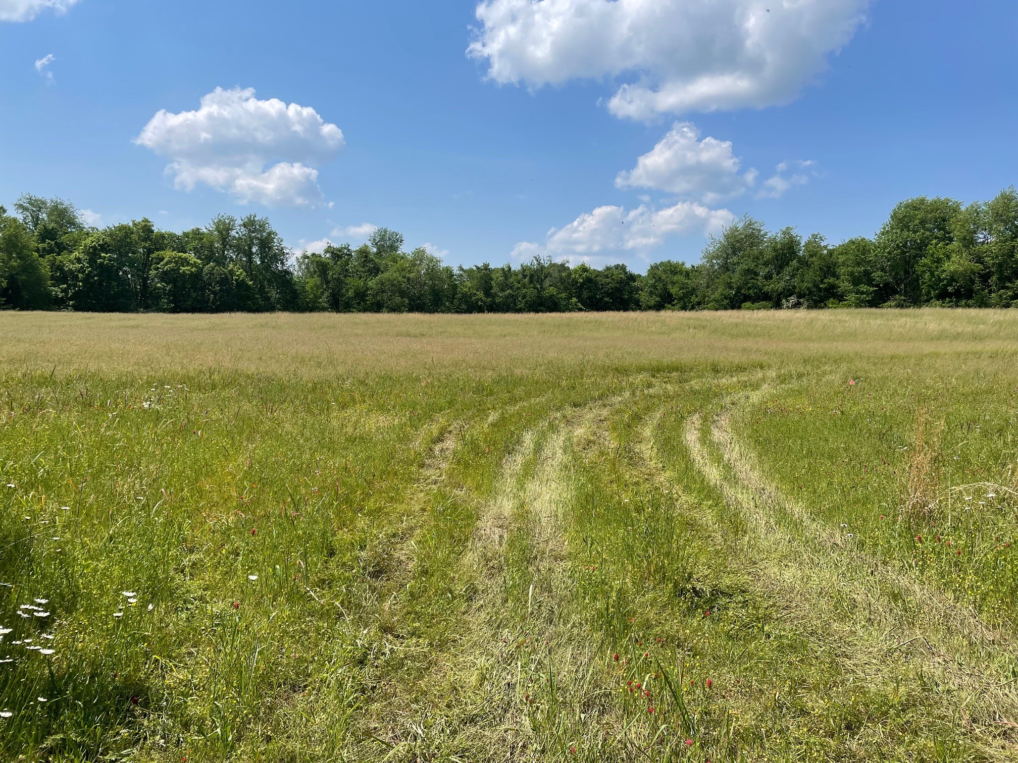 0 Maynard Lane Columbia TN 38401