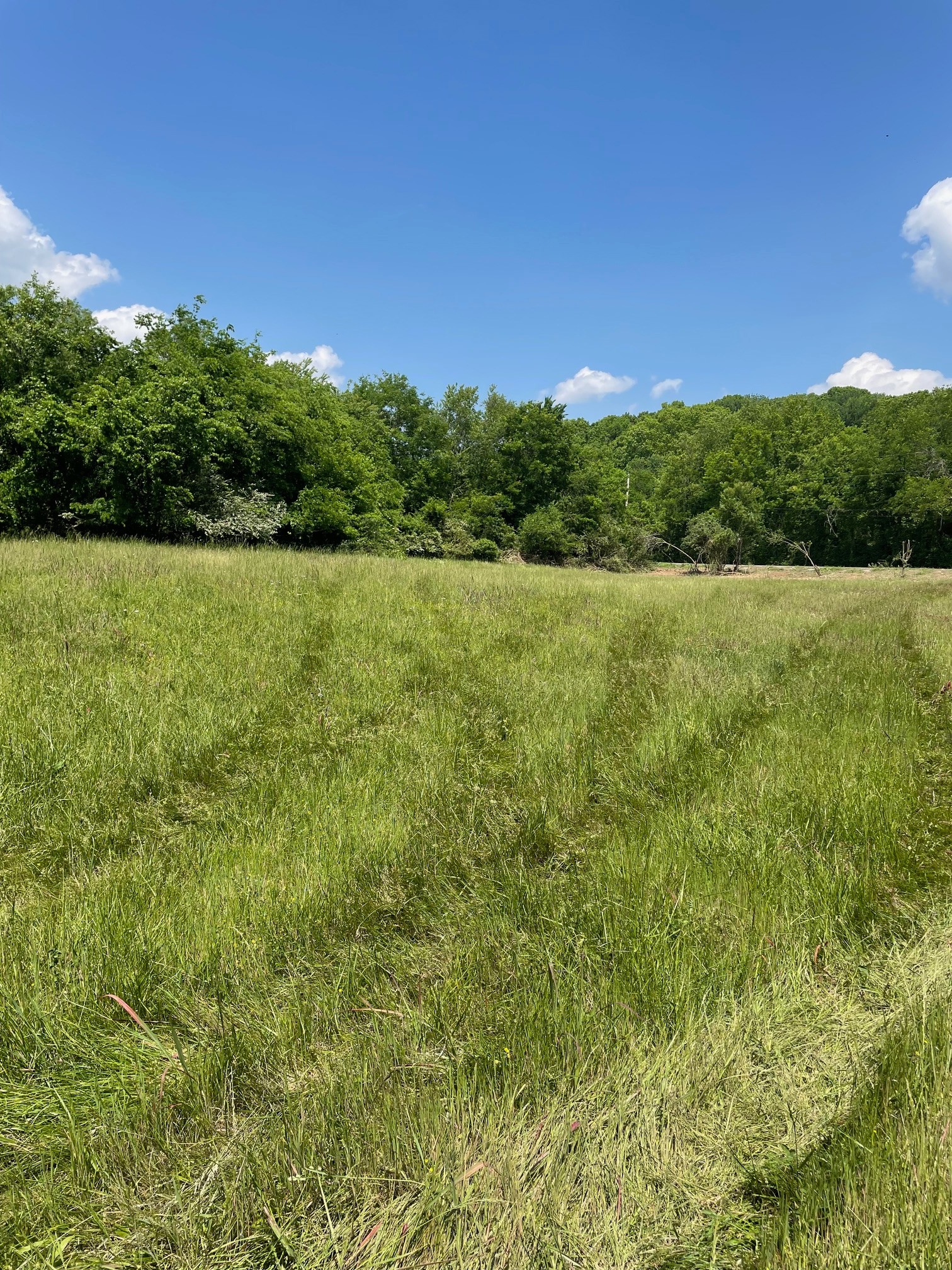 0 Maynard Lane Columbia TN 38401