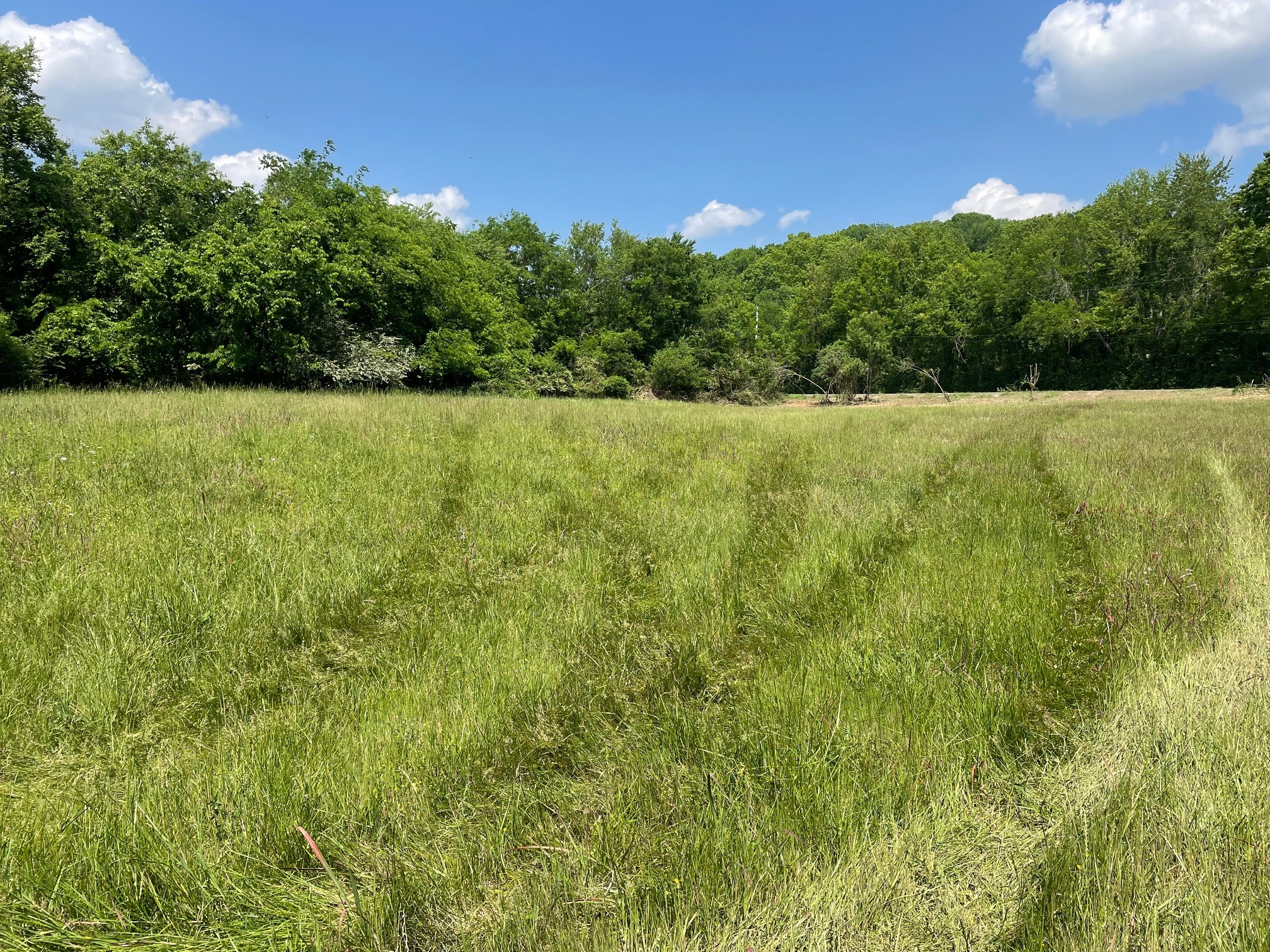 0 Maynard Lane Columbia TN 38401