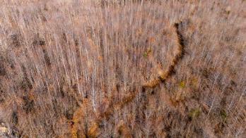 0 White Oak Road Stewart TN 37175