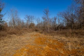 0 White Oak Road Stewart TN 37175