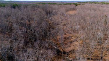 0 White Oak Road Stewart TN 37175