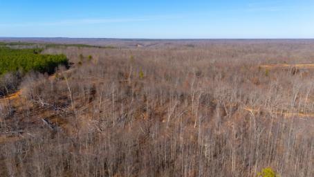 0 White Oak Road Stewart TN 37175