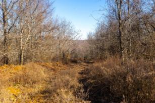 0 White Oak Road Stewart TN 37175