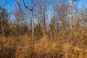 0 White Oak Road Stewart TN 37175