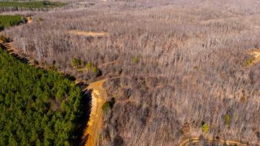 0 White Oak Road Stewart TN 37175