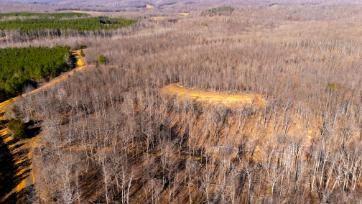 0 White Oak Road Stewart TN 37175