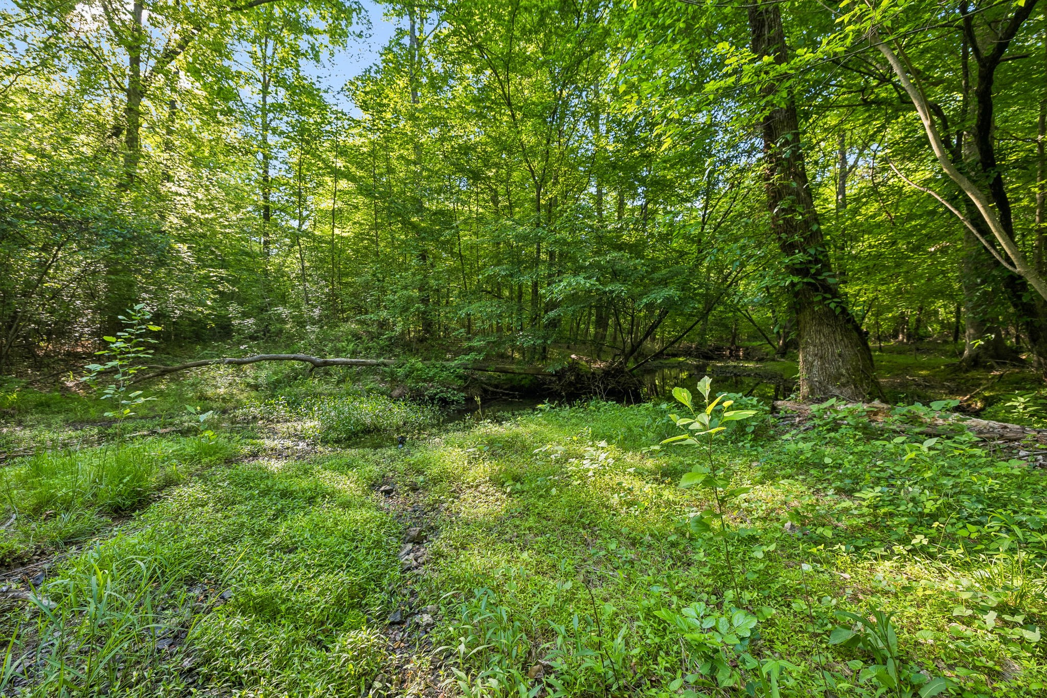 0 Rebecca West Road Fayetteville TN 37334