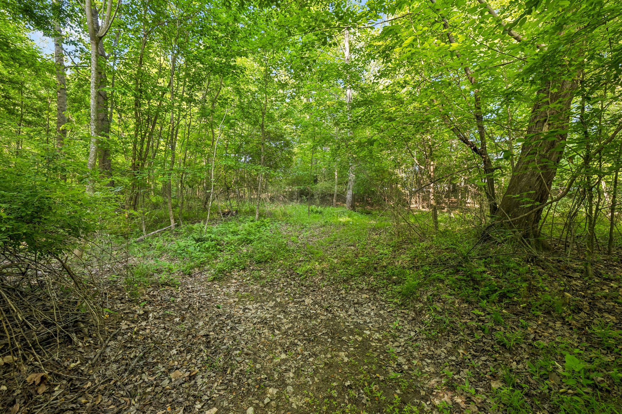 0 Rebecca West Road Fayetteville TN 37334
