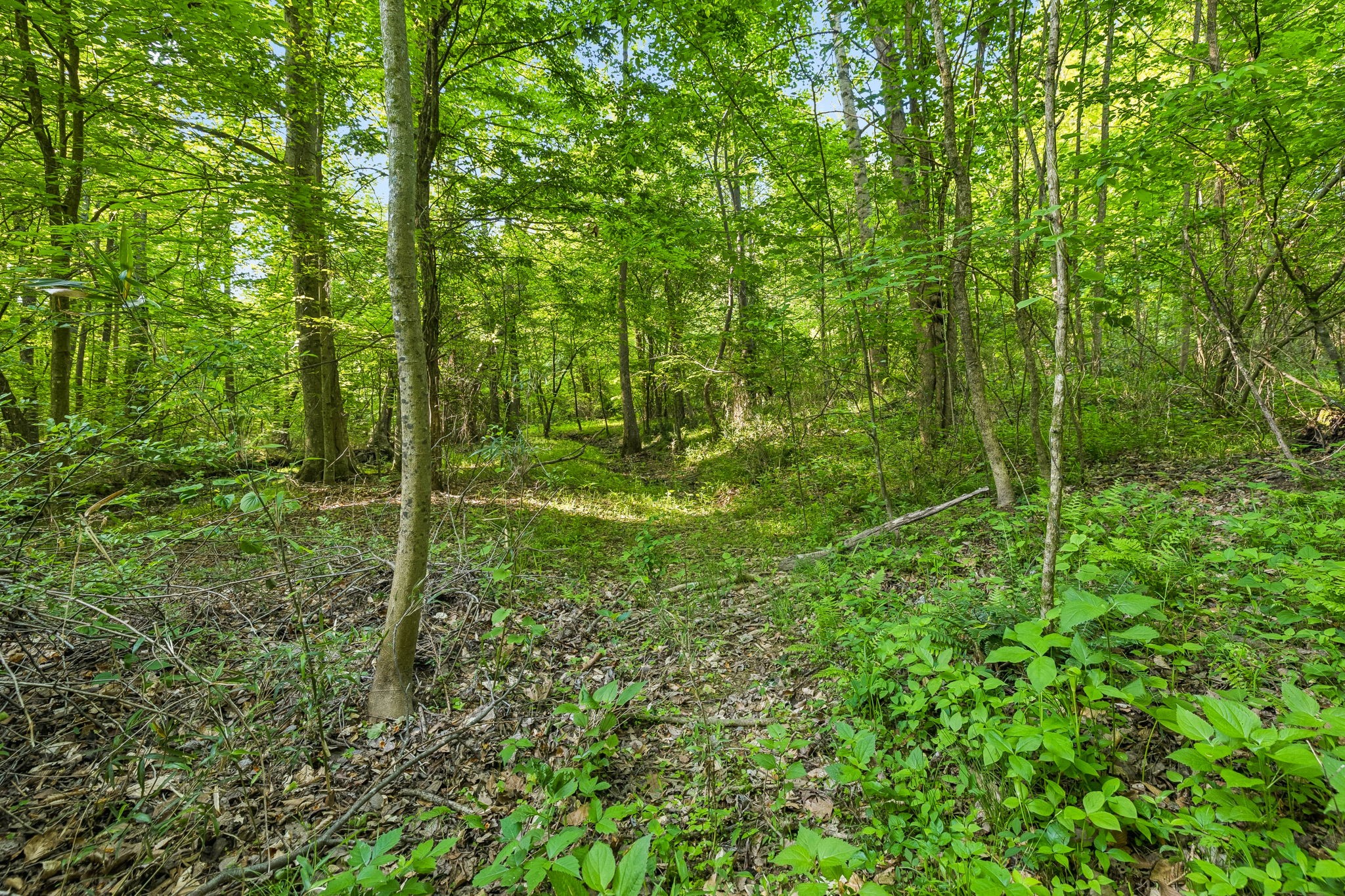 0 Rebecca West Road Fayetteville TN 37334