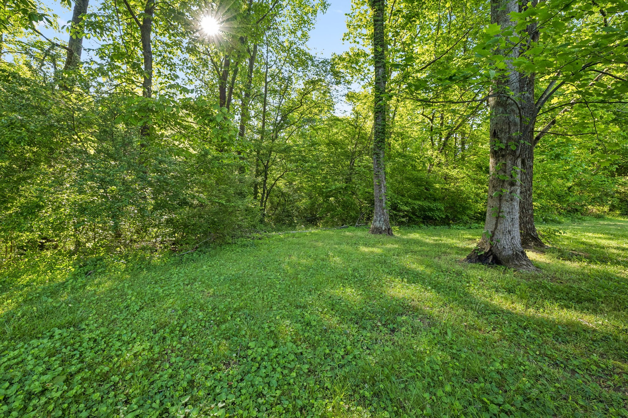 0 Rebecca West Road Fayetteville TN 37334